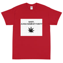 Load image into Gallery viewer, Mary, Juana numb my pain???: Short Sleeve T-Shirt

