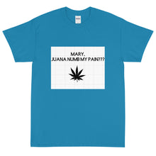 Load image into Gallery viewer, Mary, Juana numb my pain???: Short Sleeve T-Shirt
